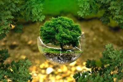 Ecologie - Pixabay